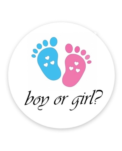 Aufkleber 'Boy or Girl?'