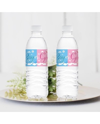 Wasserflaschen Etiketten 'Boy or Girl'