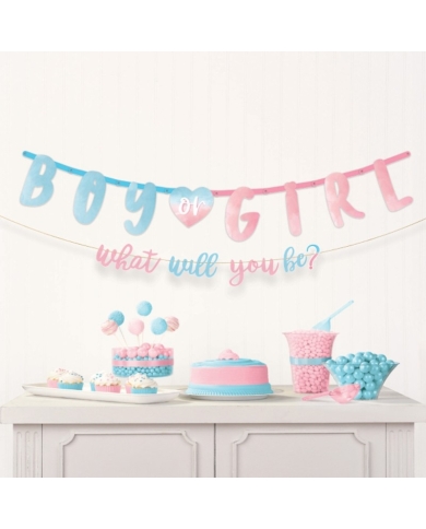Girlande 'Boy or Girl - What will you be'