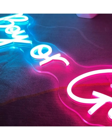 Neon LED 'Boy or Girl' (54 x 19,5 cm)
