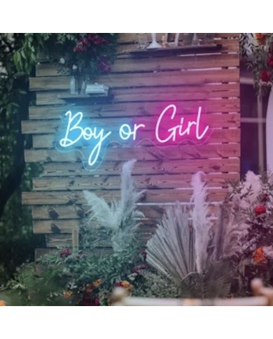 Neon LED 'Boy or Girl' (54 x 19,5 cm)