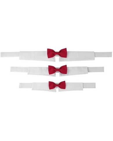 Noeud papillon avec col - rouge