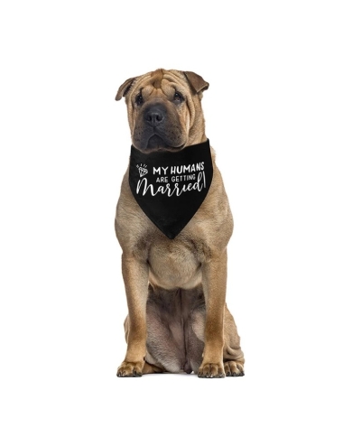 Chien-Bandana 'My humans are getting married'