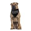 Hunde-Bandana 'My humans are getting married'