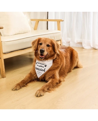 Hunde-Bandana 'My humans are getting married' - The-Weddingshop