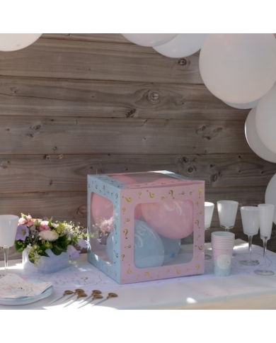 Deko Box Luftballons 'Girl or Boy'