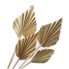 Feuilles de palmier (20 pièces)