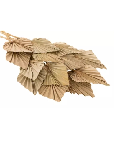 Feuilles de palmier (20 pièces)
