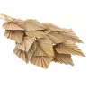 Feuilles de palmier (20 pièces)