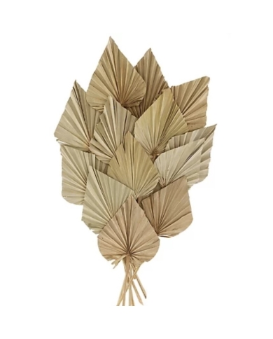 Palmblätter (20 Stück)
