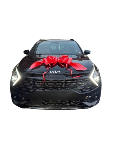 Grosse Autoschleife 76 cm - Rot