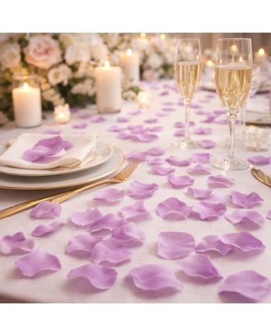 Pétales de roses prune - The-Weddingshop