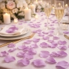 Pétales de roses prune - The-Weddingshop