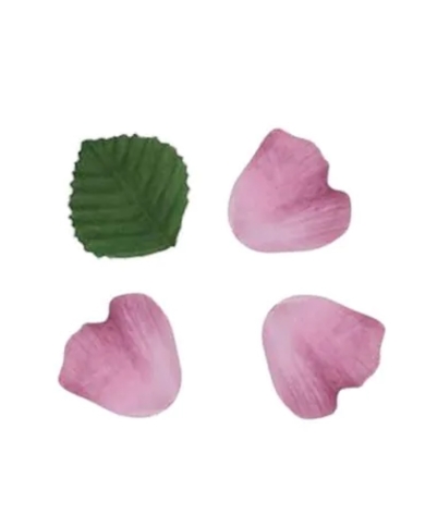 Pétales de roses prune - The-Weddingshop