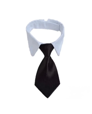 Cravate pour chien avec col - The-Weddingshop