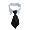 Hundekrawatte mit Kragen - The-Weddingshop