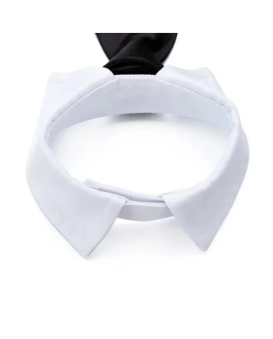 Hundekrawatte mit Kragen - The-Weddingshop