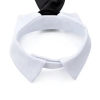 Hundekrawatte mit Kragen - The-Weddingshop