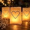 Lanterne photophore coeur x 10
