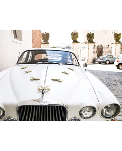 Autoschmuck Set 'Vintage'