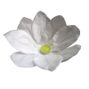 Wasserlaternen 'Lotusblüte' - Weiss (10 Stück)
