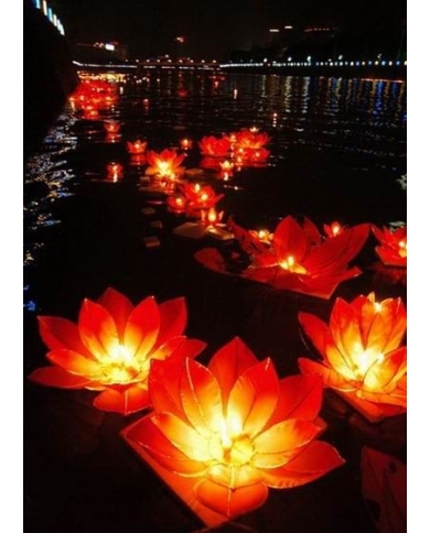 Lanternes fleur de lotus flottante blanc