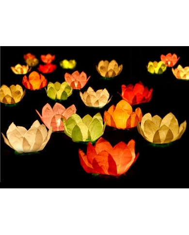 Lanternes fleur de lotus flottante MIX