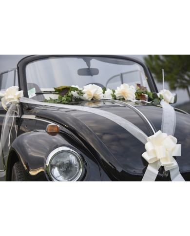 Kit décoration voiture mariage - 6 pièces