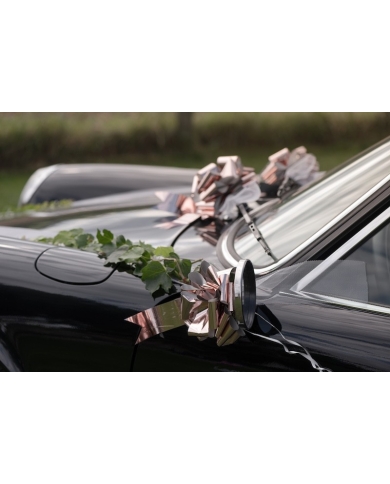 Autoschmuck Hochzeit - 6-teiliges Set - rosé metallic