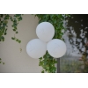 Ballons Colombes - The Weddingshop