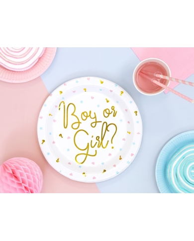 Baby Shower Assiettes 'Boy or Girl' - The Weddingshop