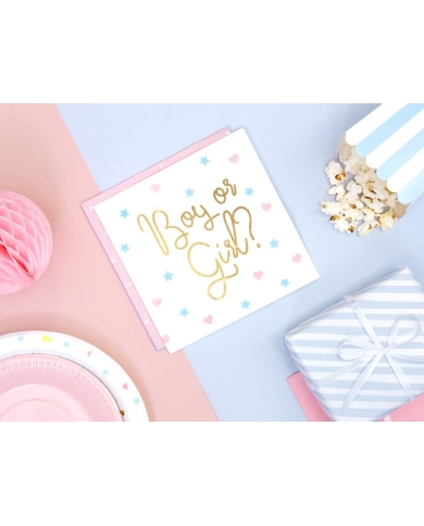 20 Serviettes 'Boy or Girl'