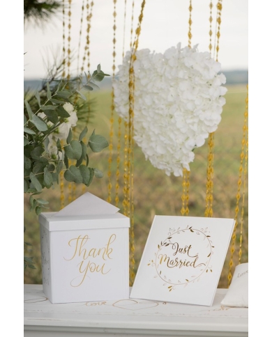 Livre d’or 'Just Married' ♥ the-Weddingshop.ch