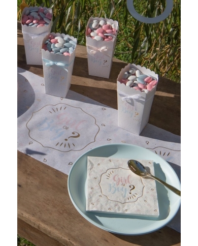 20 Serviettes 'Girl or Boy'