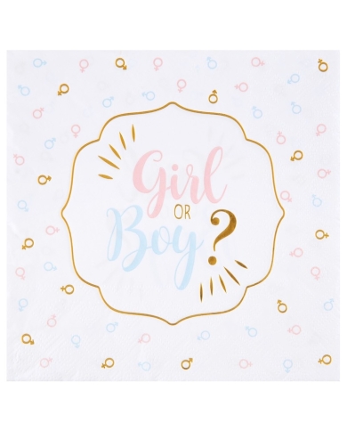 20 Serviettes 'Girl or Boy'