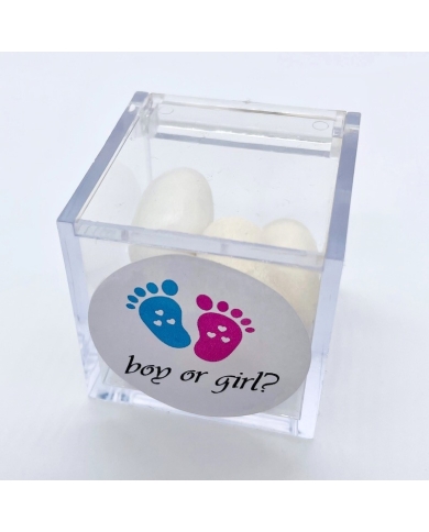 Autocollant 'boy or girl?'