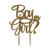 Cake Topper 'Boy or Girl' - or